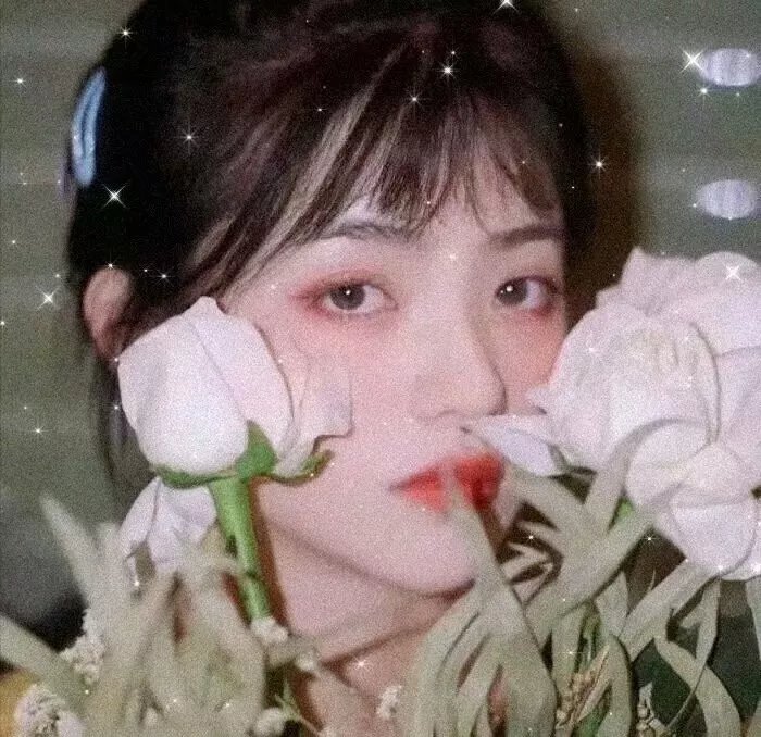 哈啦万人迷